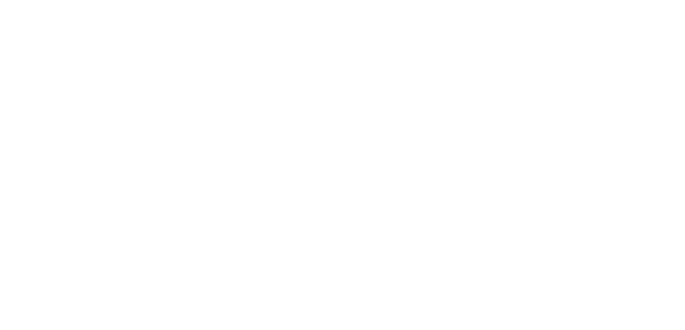 Lewis & Clark Partners